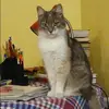 Отзыв от Людмила Меркулова